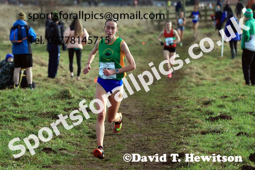 Junior Womens 2024 Northern Cross Country Champs., Sedgefield. Photo: David T. Hewitson/Sports for All Pics